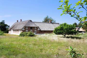 Ferienhaus für 12 Personen, mit Sauna und Whirlpool sowie Terrasse in Blavand