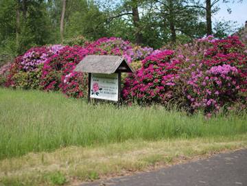 Ferienwohnung für 2 Personen in Burg (Spreewald), Cottbus und Umgebung, Bild 2
