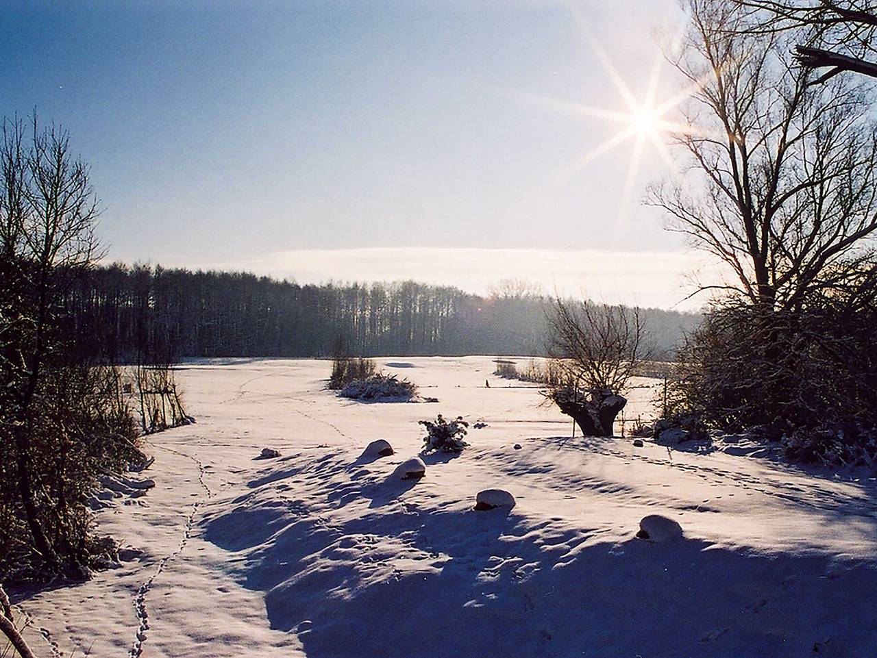 Van der Valk Golfhotel Serrahn - Doppelzimmer in Kuchelmiß, Mecklenburgische Seenplatte