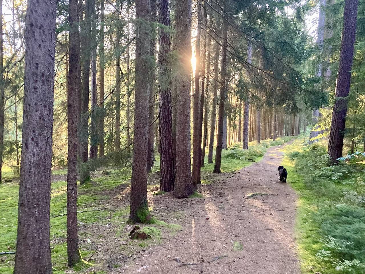 Ganze Wohnung, Ferienwohnensieglinde - Ferienwohnung (81qm) in Weiden in der Oberpfalz, Naturpark Nördlicher Oberpfälzer Wald