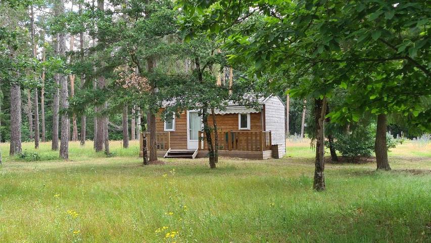 Location de vacances pour 5 personnes, avec jardin et piscine à Crouy-sur-Cosson - 4