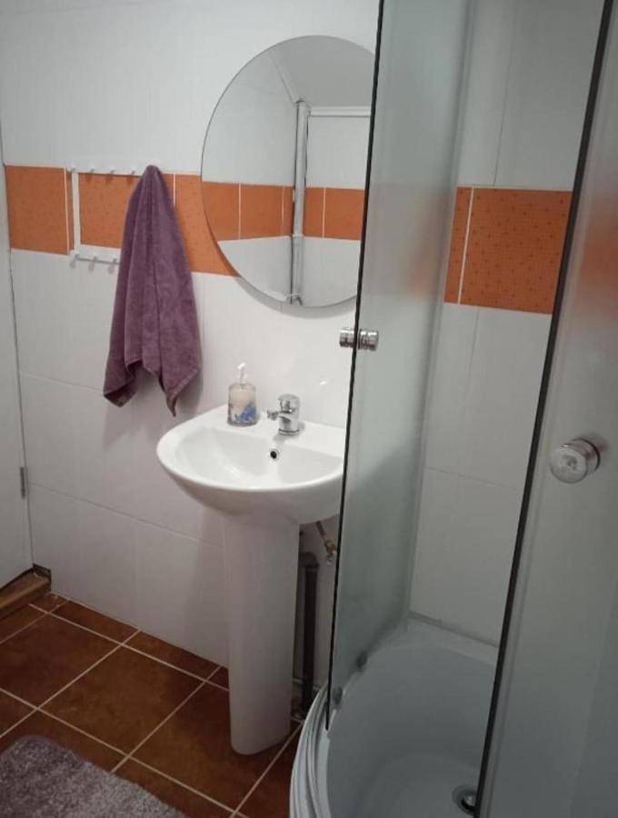 Location de vacances pour 12 personnes, avec jardin et jacuzzi dans Cluj-Napoca - 2