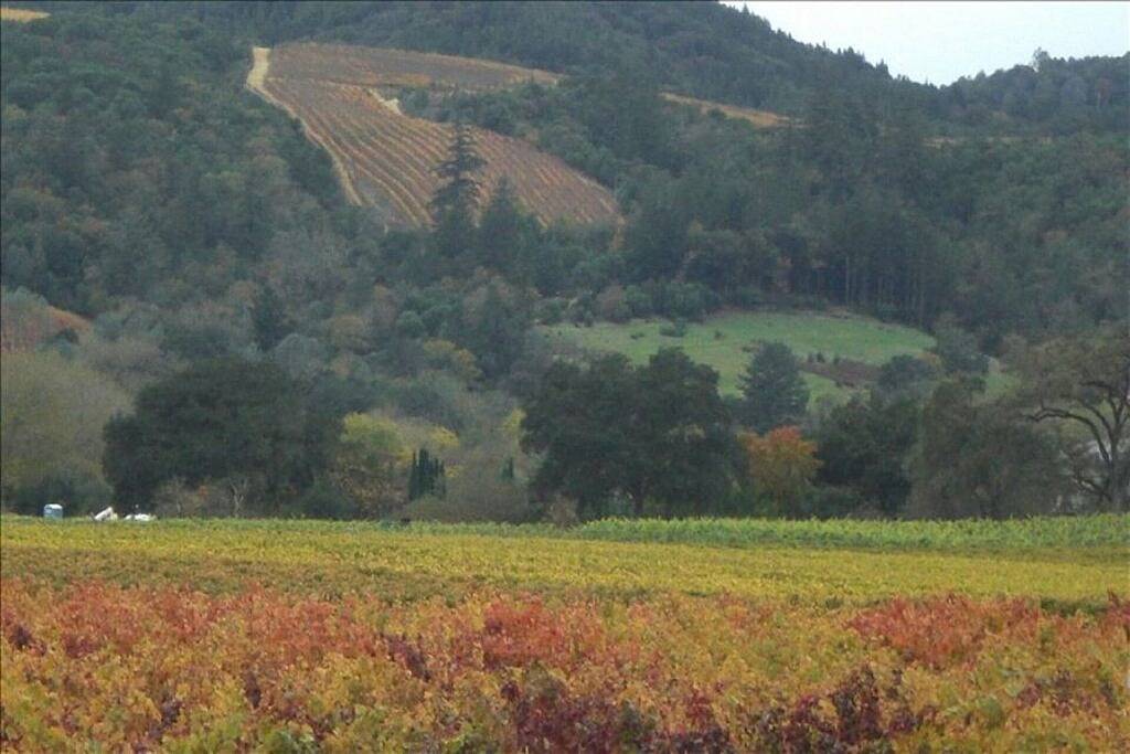 Log Cabin for 2 People in Northern California, North Coast