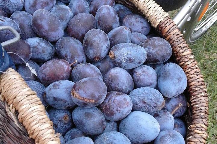 B&B für 2 Personen, mit Garten in Brandenburg - 4