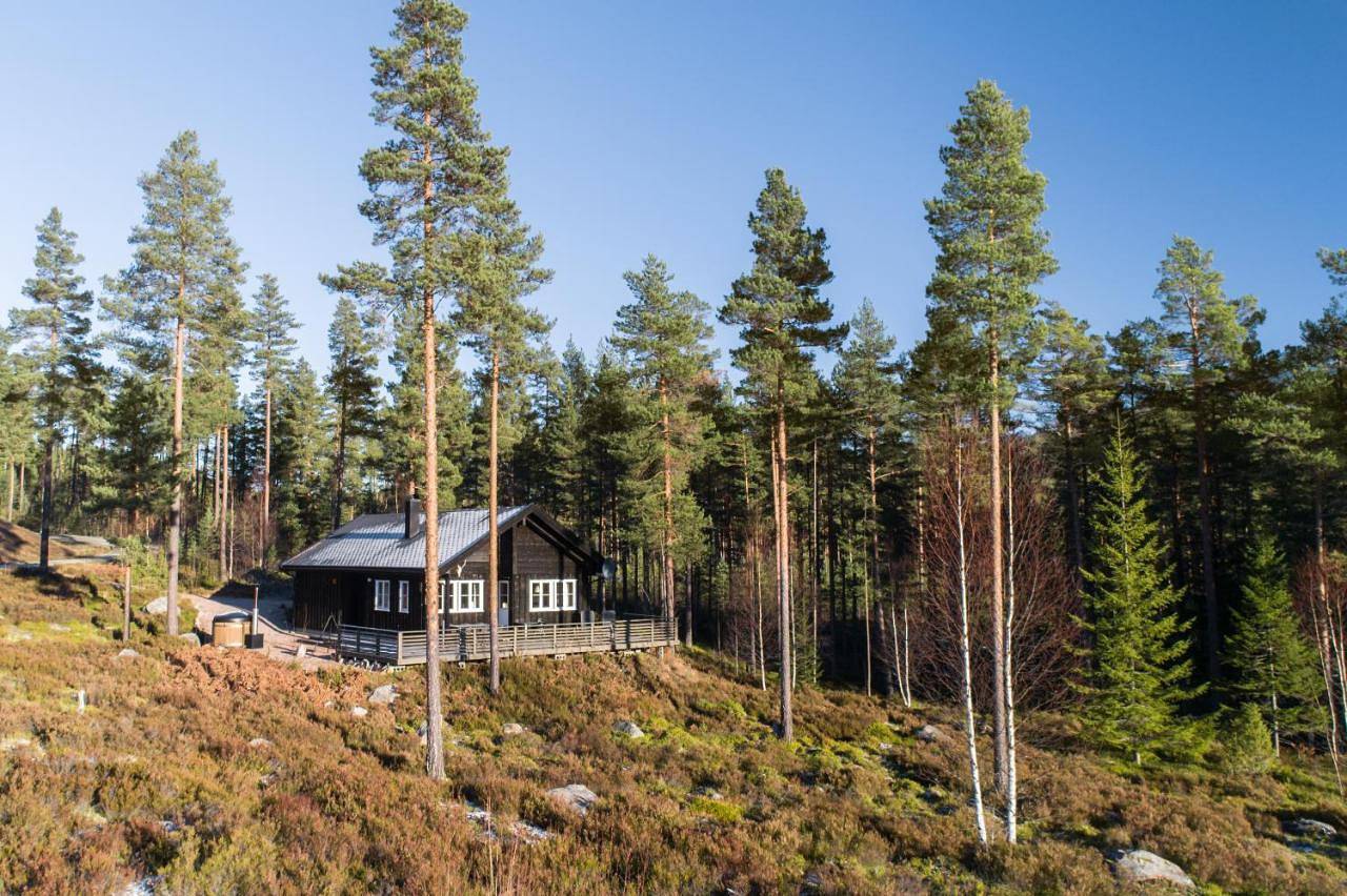 Holiday Home in Vrådal, Kviteseid