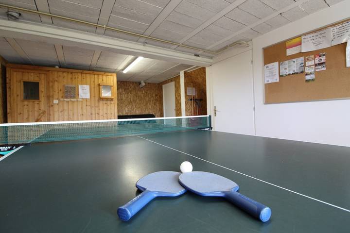 Location de vacances pour 8 personnes, avec sauna ainsi que jardin et balcon à Fraize - 4