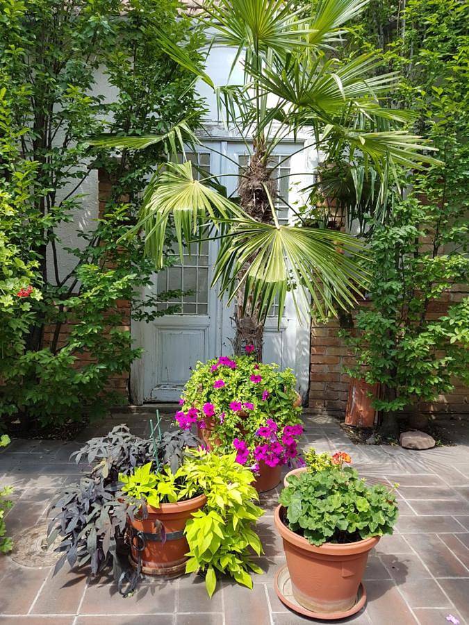 Gîte pour 3 personnes, avec jardin à Vršac