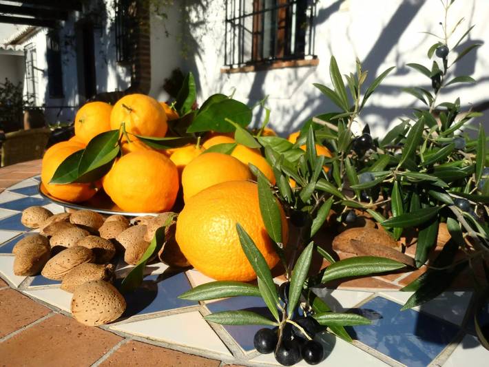 Chalet para 4 personas, con jardín en Antequera - 2