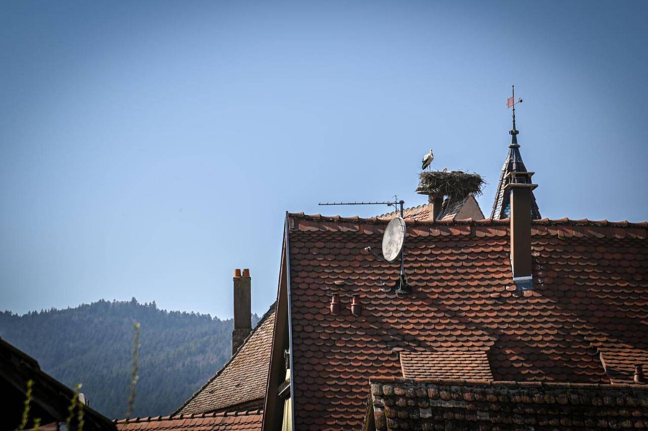 Hameau d'Eguisheim in Eguisheim, Parc naturel régional des Ballons des Vosges
