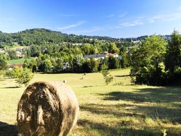 Location De Vacances pour 4 Personnes dans Montignac, Périgord Noir, Photo 4