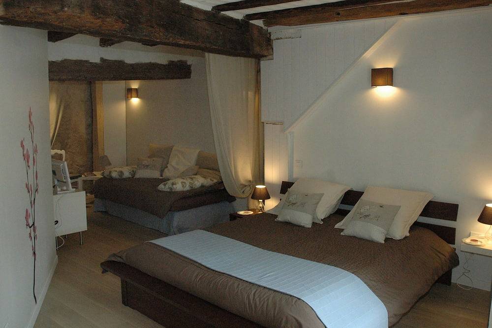 3 bedroom 3 bathroom town house in the heart of the Loire castles in Amboise, Tours region
