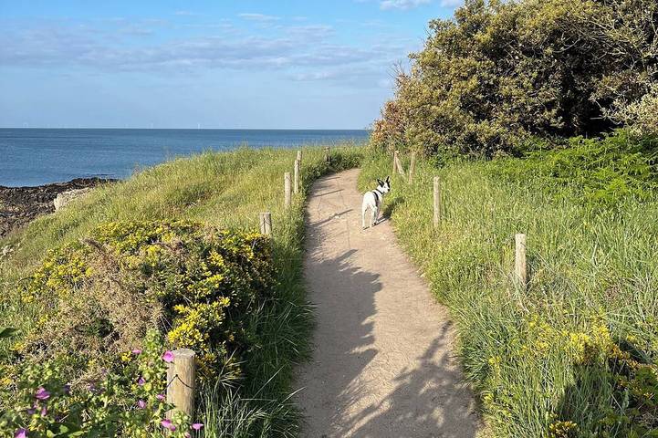 Ferienhaus für 8 Personen, mit Garten, mit Haustier
