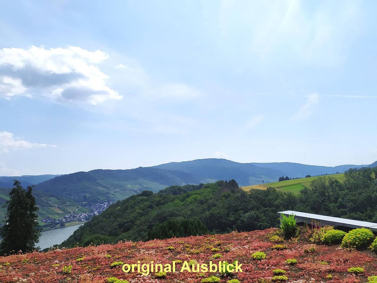 Ganze Wohnung, Appartement in Medenscheid mit Garten und Terrasse in Bacharach, Landkreis Mainz-Bingen