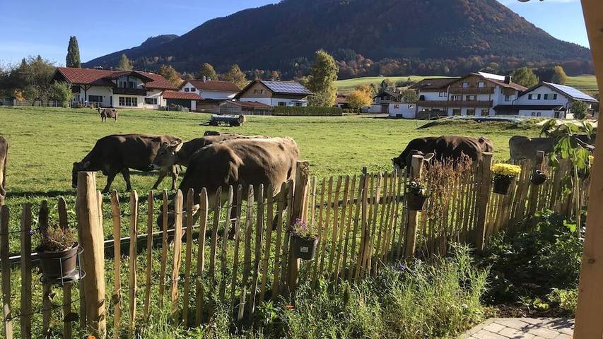 Ferienhaus für 4 Personen, mit Sauna und Balkon in Halblech - 4