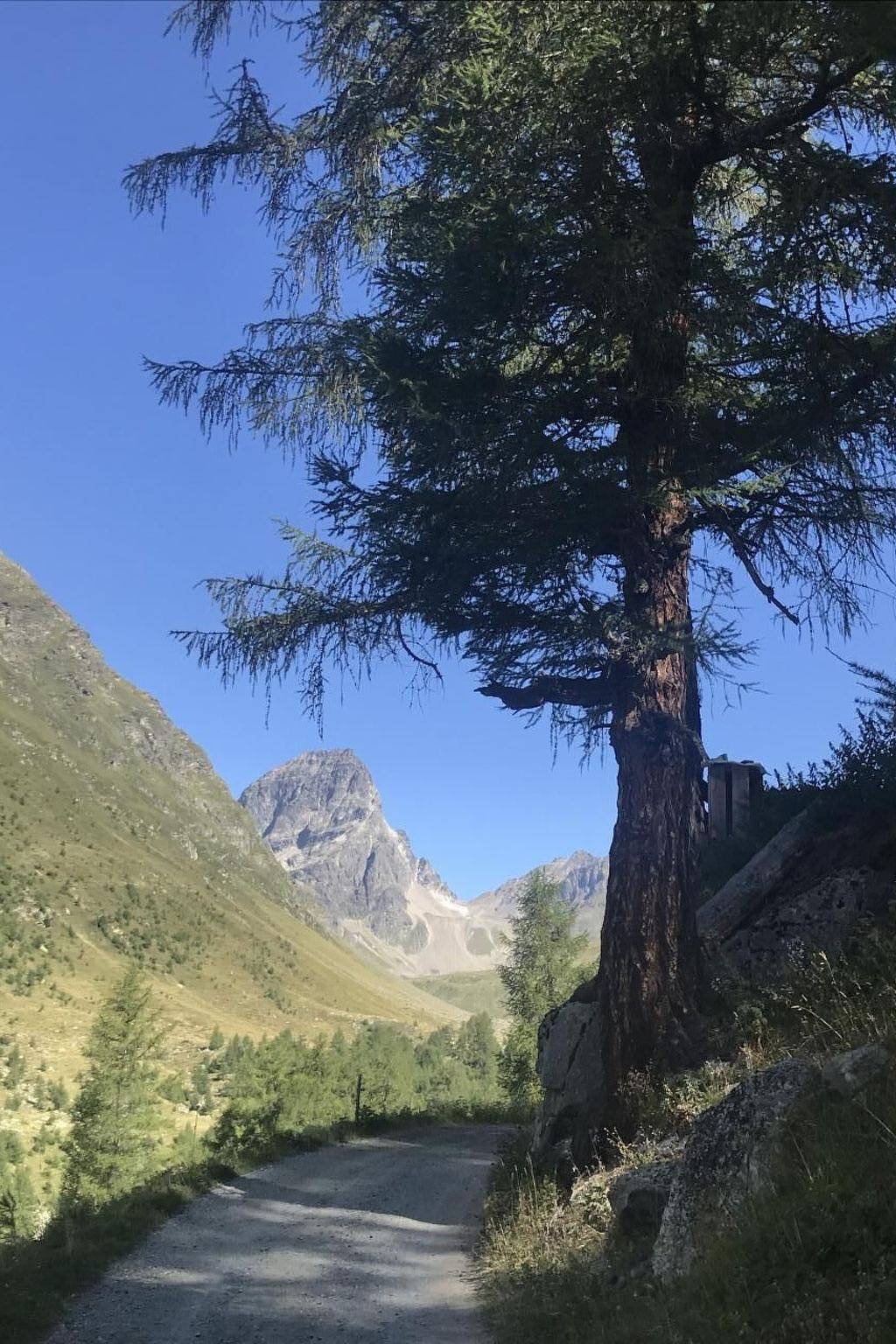 Geheel appartement, Urlaubstage in Davos in Flüelapass, Davos