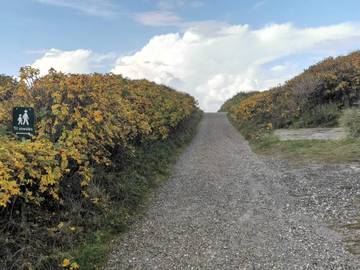 Ferieudlejning til 6 Personer i Henne Strand, Vesterhavet, Billede 2