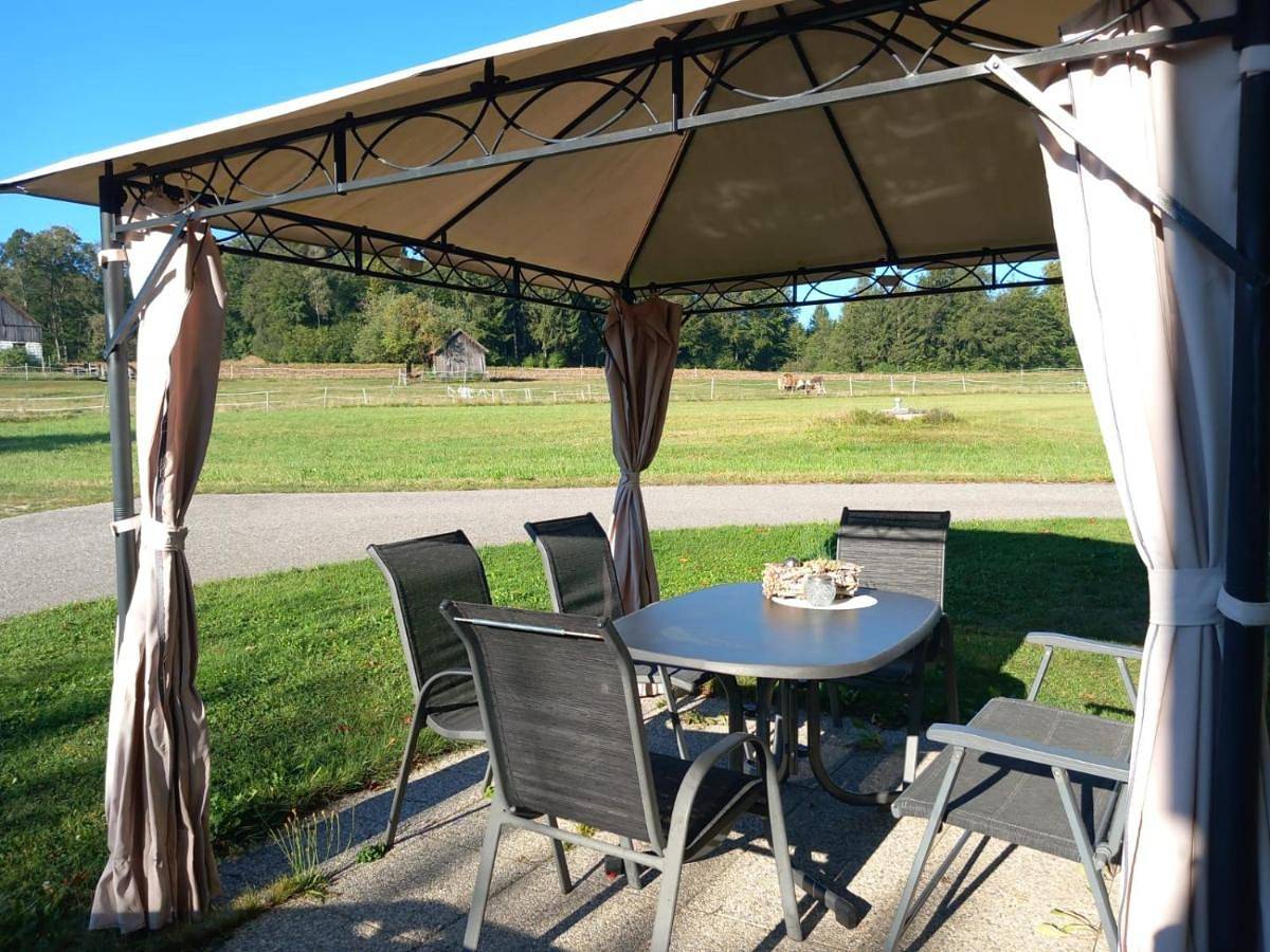 Ganze Wohnung, Ferienwohnung Waldhäusl in Groß Gerungs, Bezirk Zwettl