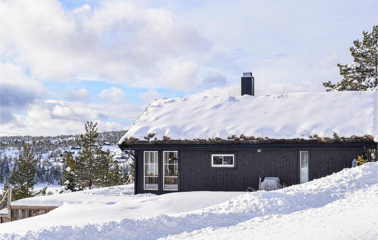 Ferienhaus für 7 Personen mit Garten in Nissedal
