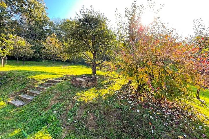 Bungalow für 60 Personen in Ungarn - 4