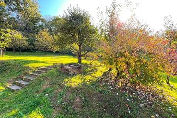 Bungalow für 60 Personen in Békés megye, Südliche Große Tiefebene, Bild 3