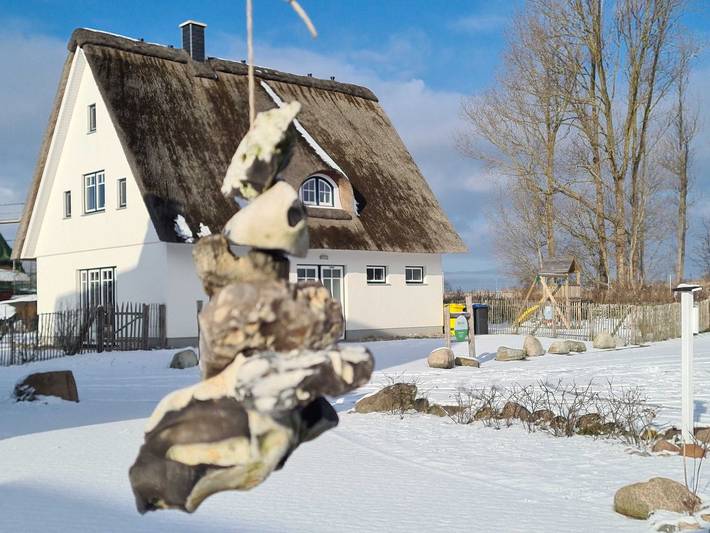 Ferienpark für 11 Personen, mit Sauna und Ausblick sowie Garten, mit Haustier in Rerik - 4
