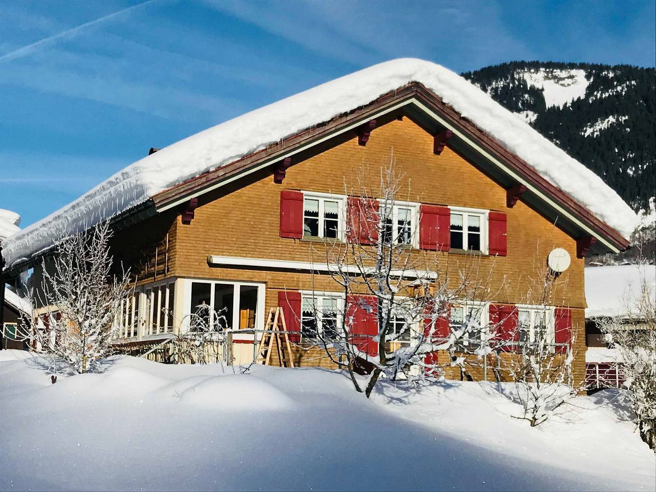 Ganze Ferienwohnung, Haus Stabentheiner - Ferienwohnung Kanisblick in Au, Bregenzerwald
