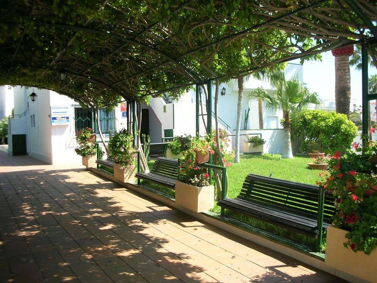 Apartamento entero, Precioso apartamento junto al mar in Playa de los Guíos, Santiago del Teide