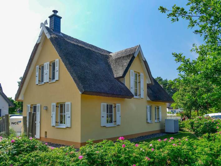 Ferienhaus für 5 Personen, mit Terrasse und Garten sowie Sauna, kinderfreundlich in Glowe - 3