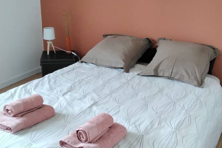 Location de vacances pour 8 personnes, avec jardin à Saint-Galmier - 4