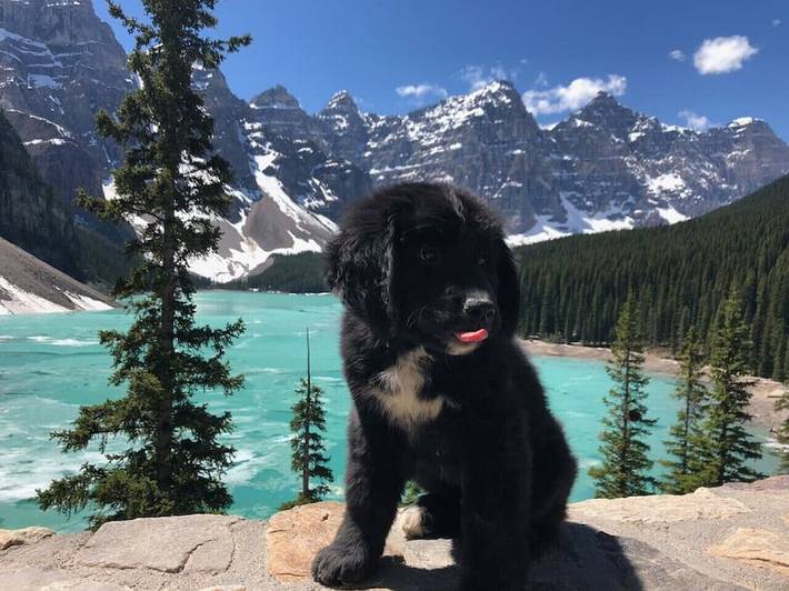 Gîte pour 7 personnes, avec piscine ainsi que jacuzzi et balcon à Canmore - 2