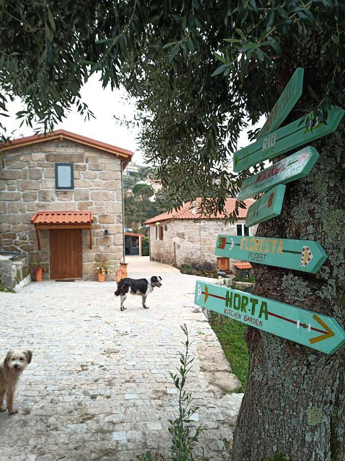 Hôtel pour 2 personnes, avec jardin ainsi que piscine et terrasse dans Alpendurada - 4