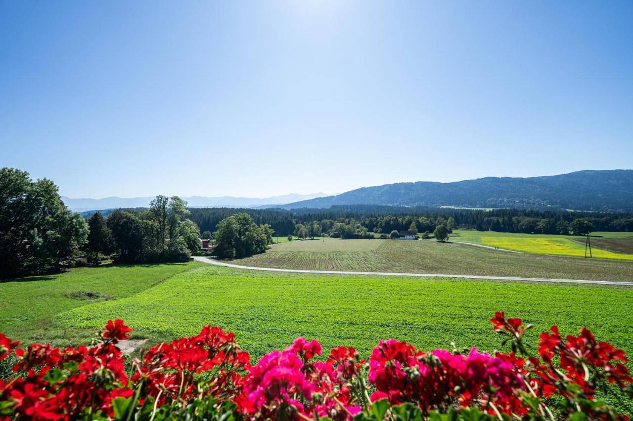 Erlebnishaus Spiess in Feldkirchen in Kärnten, Bezirk Feldkirchen