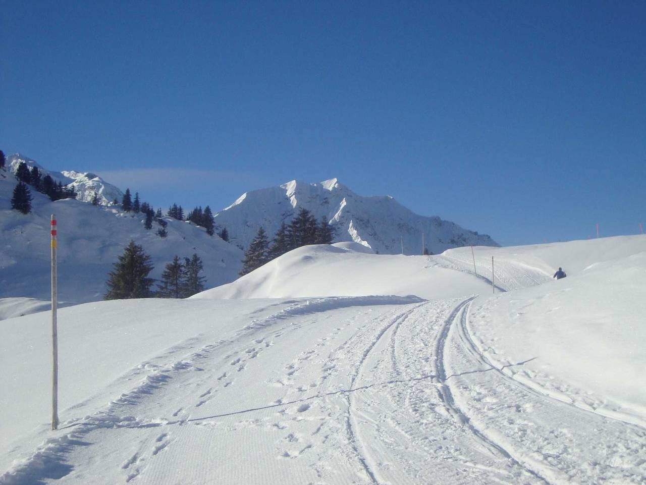 Ganze Ferienwohnung, Berghof - Apartment Mohnenfluh in Schröcken, Bregenzerwald