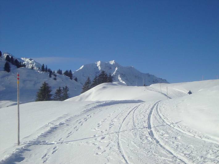 Ferienwohnung für 5 Personen, mit Terrasse und Garten in Schröcken - 4