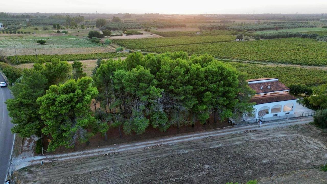 Villa Brada in Carmiano, Provincia di Lecce