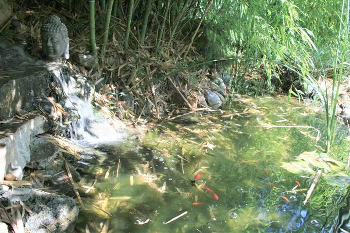 Chambre d’hôte pour 5 personnes, avec jardin ainsi que piscine et vue dans le Vaucluse - 2