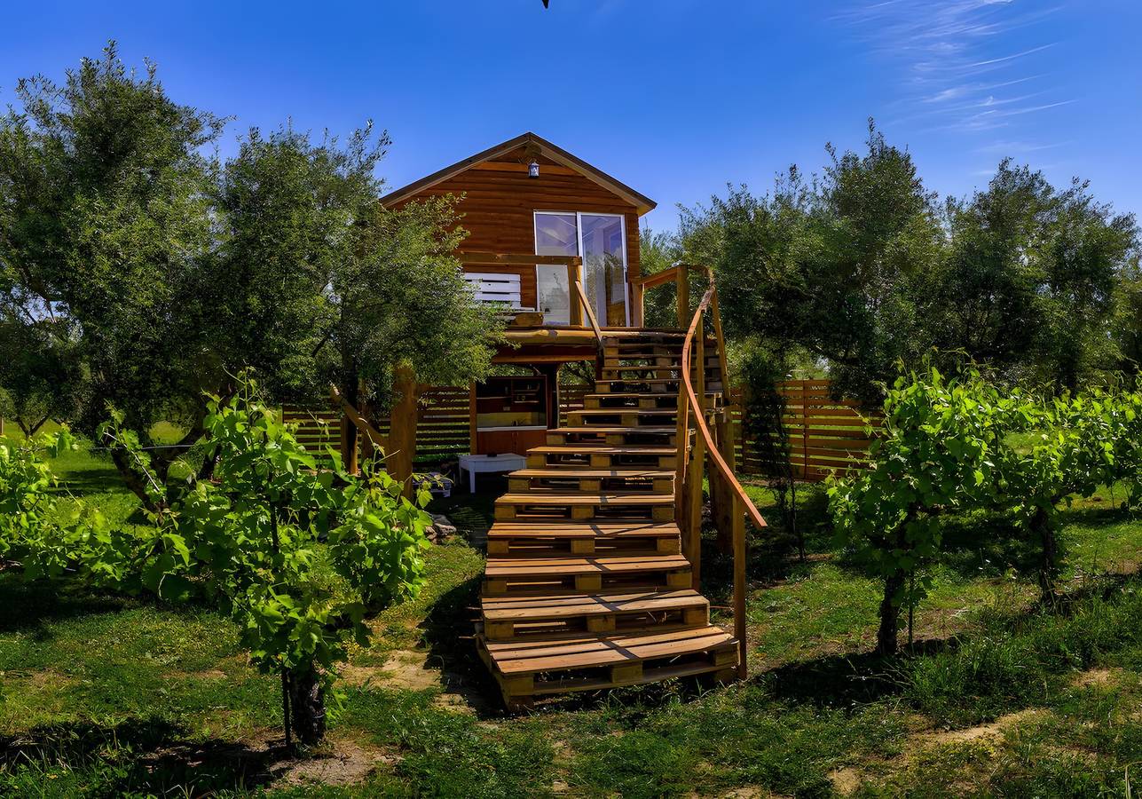 Country House 'Terra Vine Collection - Dream' with Wi-Fi and Air Conditioning in Vanato, Zákynthos