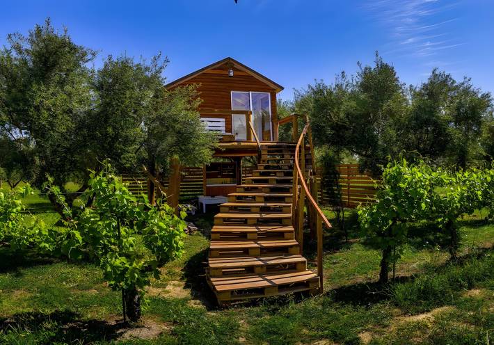 Country House 'Terra Vine Collection - Dream' with Wi-Fi and Air Conditioning in Vanato, Zákynthos