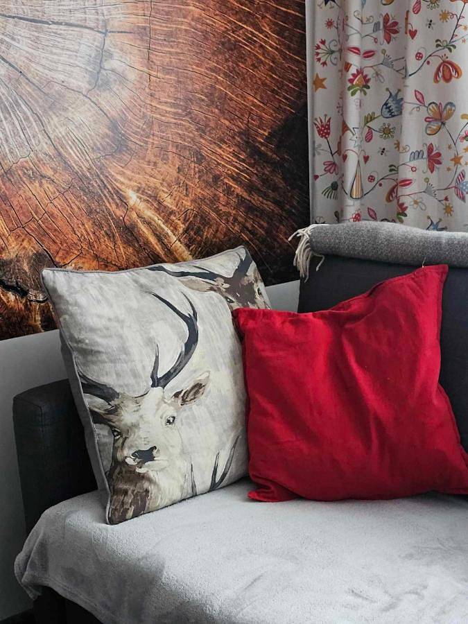 Ptasi domek in Szczyrk, Karpaty (Polska)