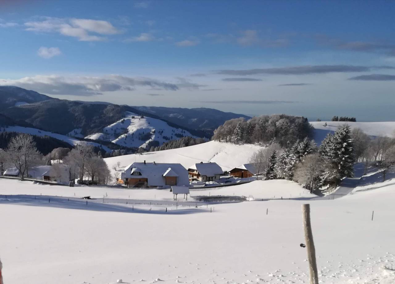 Ganze Wohnung, Ferienwohnung Hansemichelhof Schauinsland - modern,hell, hochwertig, Panoramablick, Garten mit Grill in Obermünstertal, Münstertal