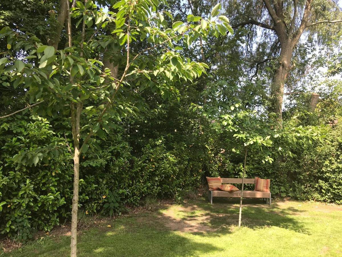 Queen Room with Garden View in Brabant-Septentrional