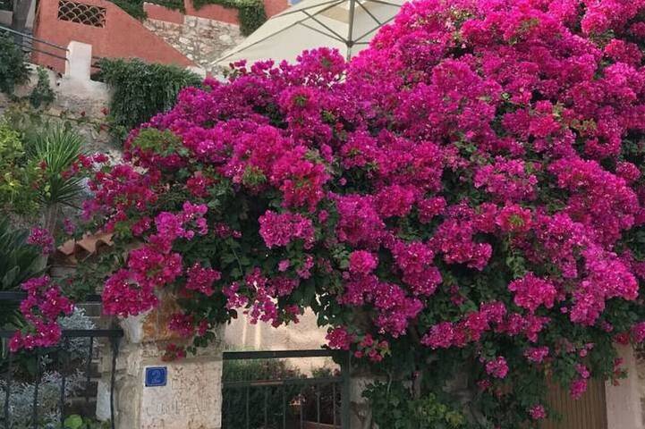 Villa for 6 people, with garden and terrace in Villefranche-sur-Mer