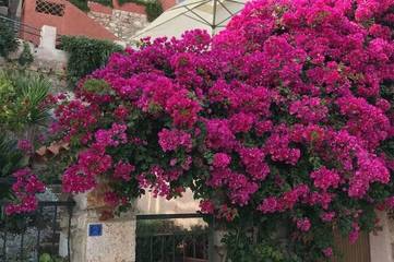 Villa pour 6 personnes, avec jardin et terrasse à Villefranche-sur-Mer