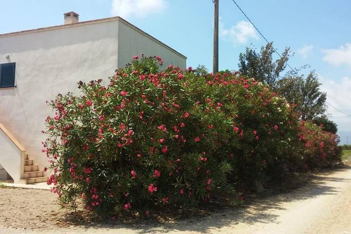 Casa de vacaciones para 4 personas, con jardín y vistas - 1