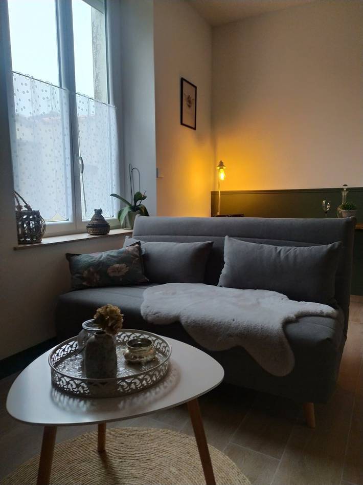 Location de vacances pour 3 personnes, avec piscine à Carcassonne - 4