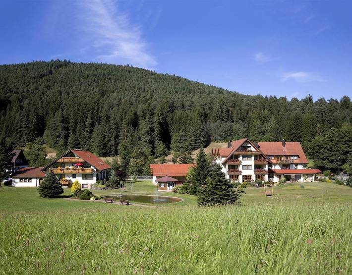 Maison d’hôte pour 3 personnes, avec balcon et jardin à Baiersbronn