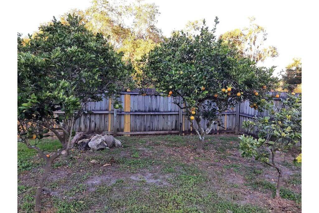 Spacious \"The Lodge\" 3 bed 2 bath w/Pool and plenty of Boat or Rv parking!! in Mount Dora, Lake County