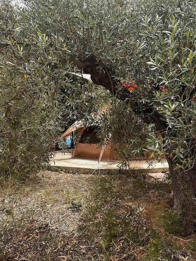 In Our Garden Sardinia - Grano Glamping Tent in Quartu Sant'Elena, Cagliari e Dintorni