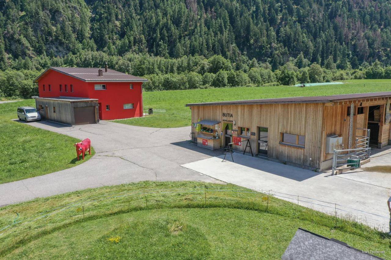 Ganze Wohnung, Apartment - Split Level in Müstair, Val Müstair