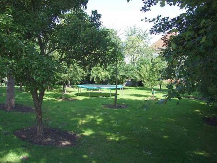 Ferienhaus für 4 Personen, mit Terrasse und Garten in Friedrichskoog - 3